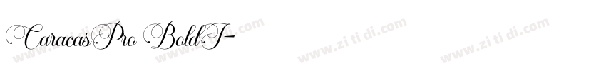 CaracasPro BoldI字体转换